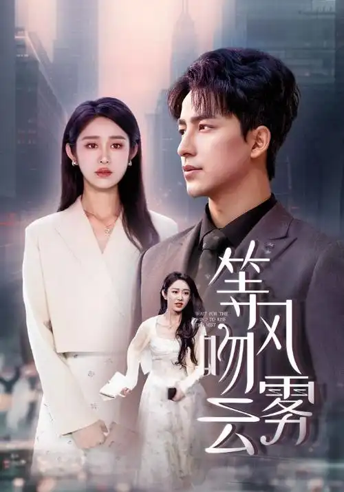 雾城档案 热播电视剧全集免费在线观看